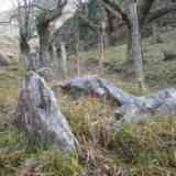 dolmen nuevo de Etxalar  (NAVARRA)